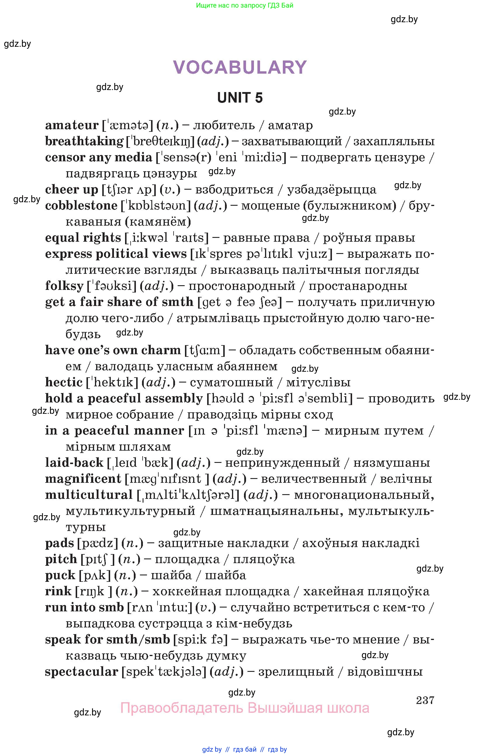 Английский язык (english), 11 класс Учебник (Student's book), авторы: Демченко Наталья Валентиновна, Бушуева Эдите Владиславовна, Севрюкова Татьяна Юрьевна, Лапицкая Людмила Михайловна (Lapitskaya Ludmila), Романчук Вероника Романовна, издательство Вышэйшая школа, Минск, 2022, розового цвета, страница 237