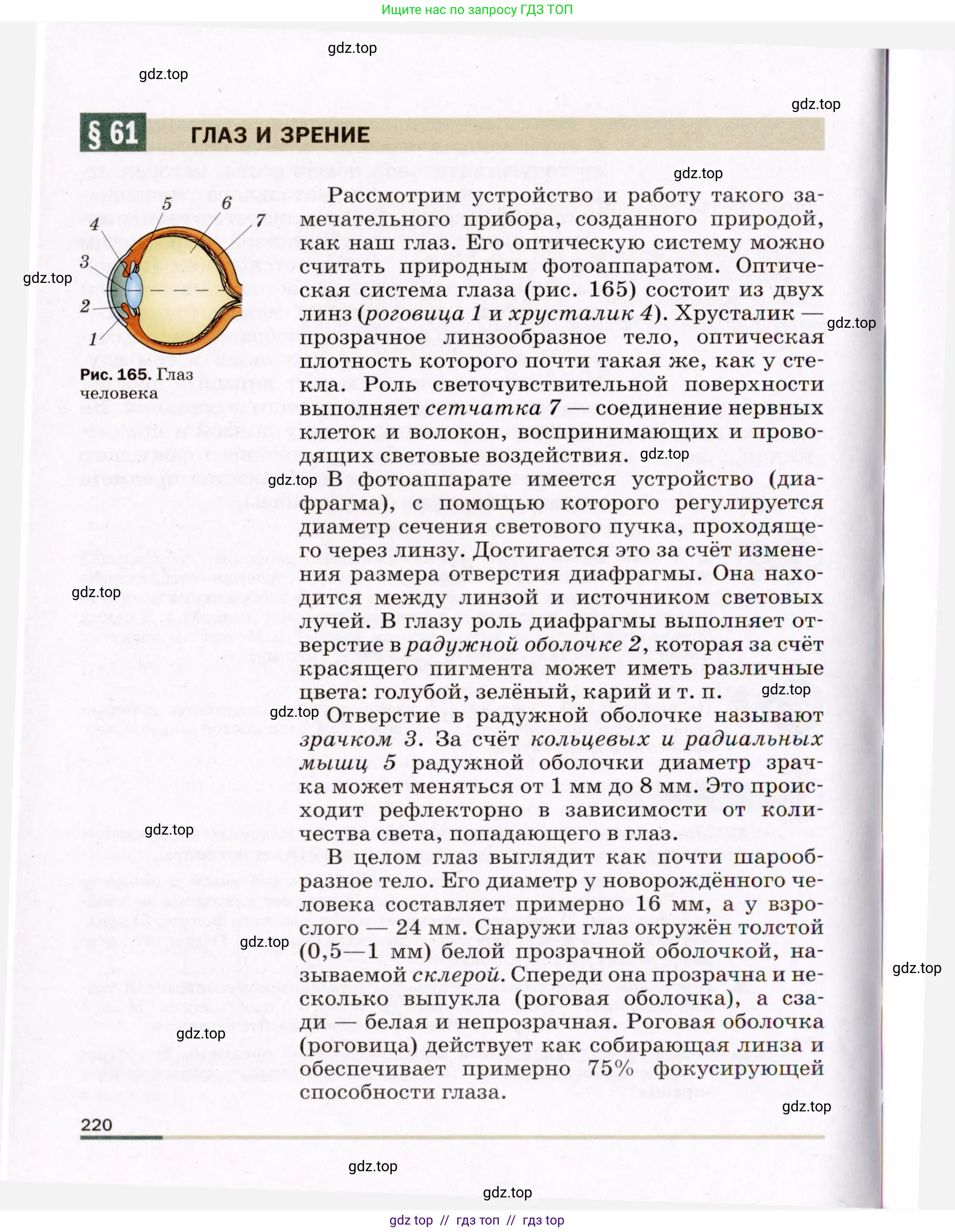 Физика, 8 класс Учебник, авторы: Пёрышкин И М, Иванов Александр Иванович, издательство Просвещение, Москва, 2021 - 2022, белого цвета, страница 220