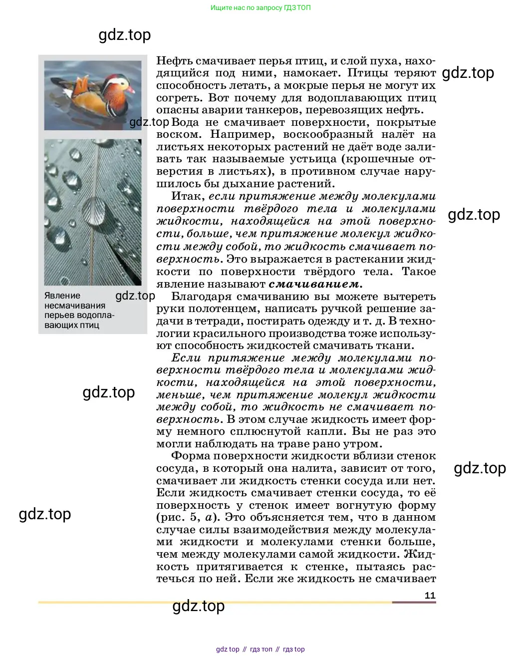 Физика, 8 класс Учебник, автор: Пёрышкин И М, издательство Просвещение, Москва, 2023, белого цвета, страница 11