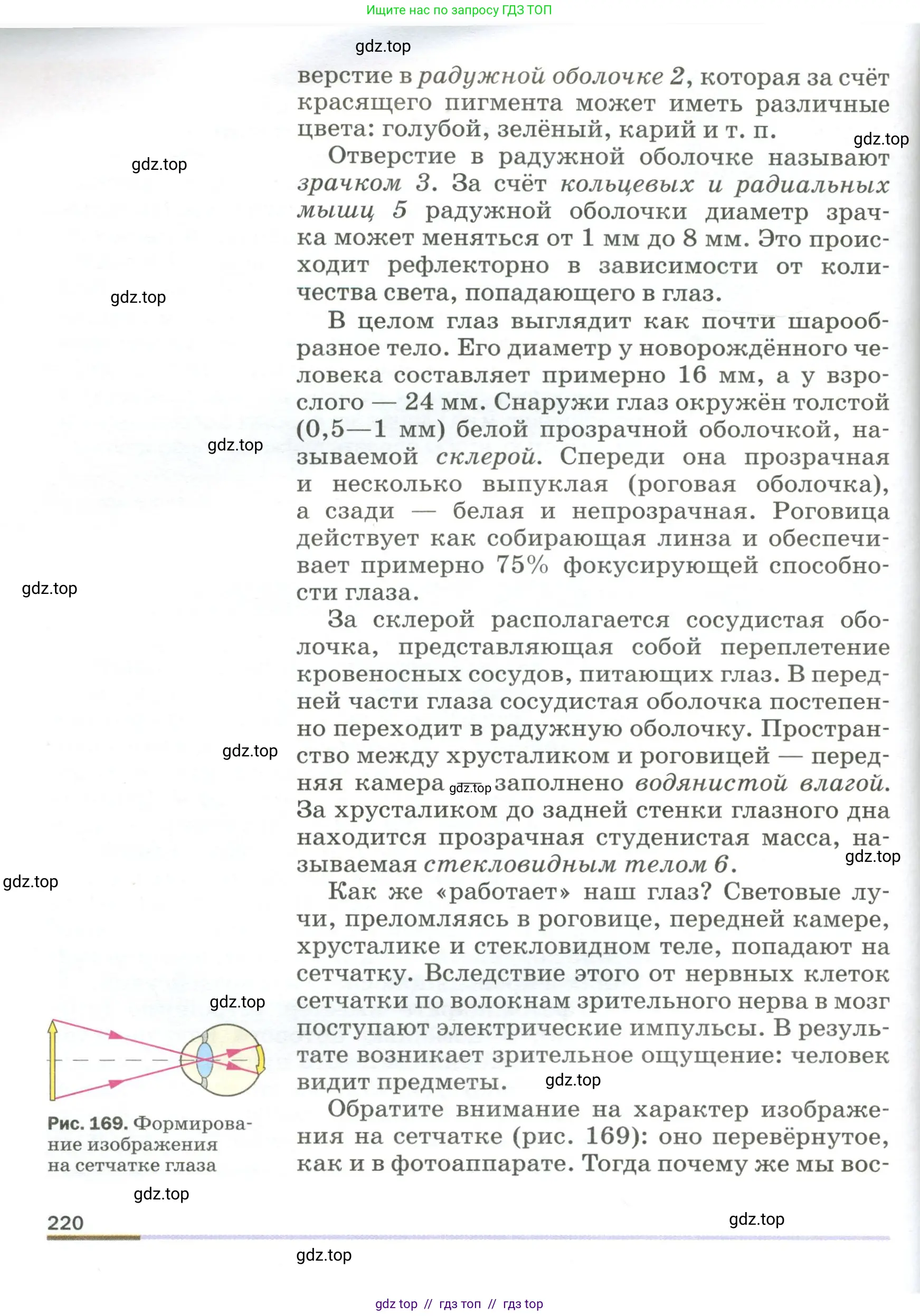 Физика, 9 класс Учебник, авторы: Пёрышкин И М, Гутник Елена Моисеевна, Иванов Александр Иванович, Петрова Мария Арсеньевна, издательство Просвещение, Москва, 2023, белого цвета, страница 220
