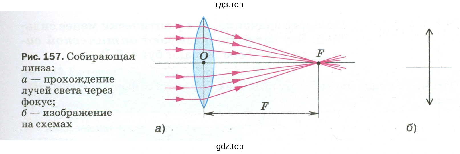 Рассказать об основных линиях и точках линзы