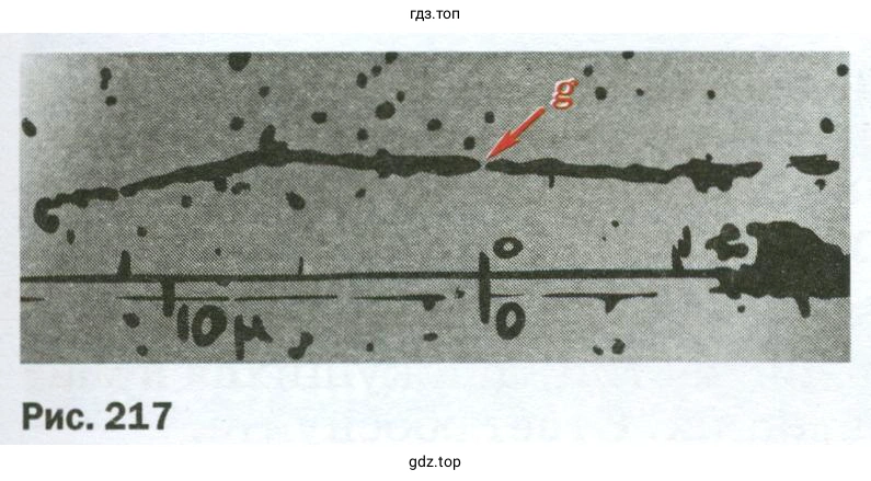Применить закон сохранения импульса для объяснения движения двух ядер, образовавшихся при делении ядра атома урана