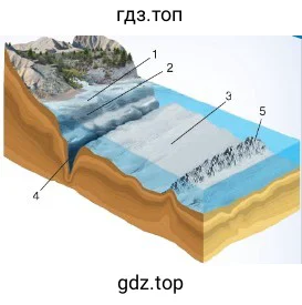 Рис. 73. Часть рельефа дна Океана: 1 - шельф; 2 - материковый склон; 3 - ложе Океана; 4 - глубоководный жёлоб; 5 - срединно-океанический хребет