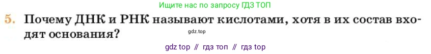 Химия, 10 класс Учебник, авторы: Еремин Вадим Владимирович, Кузьменко Николай Егорович, Теренин Владимир Ильич, Дроздов Андрей Анатольевич, Лунин Валерий Васильевич, издательство Просвещение, Москва, 2023, белого цвета, страница 387, номер 5, Условие