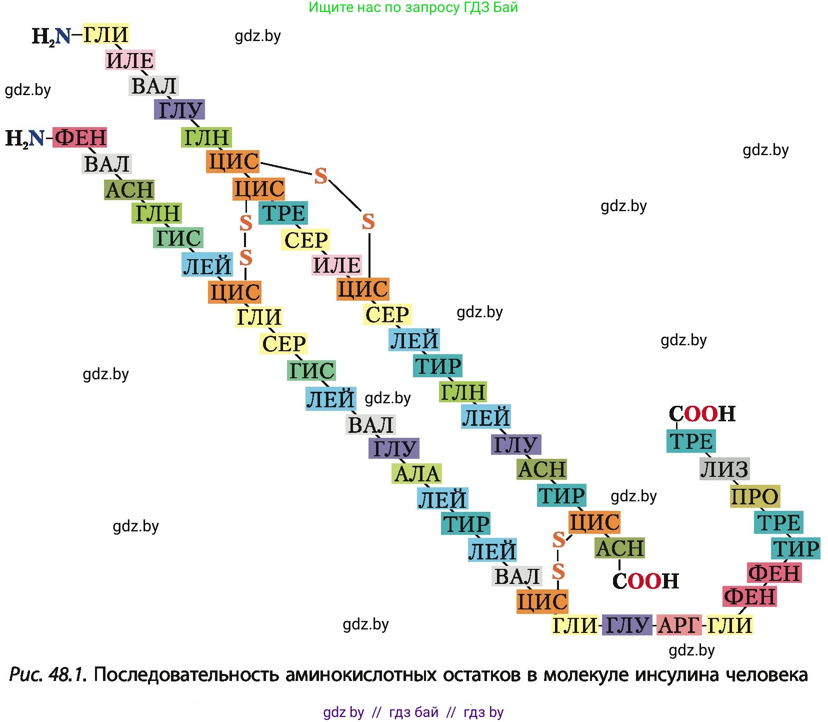 Химия, 10 класс Учебник, авторы: Колевич Татьяна Александровна, Матулис Вадим Эдвардович, Матулис Виталий Эдвардович, Варакса Игорь Николаевич, издательство Адукацыя i выхаванне, Минск, 2019, страница 272, номер 5, Условие (продолжение 2)