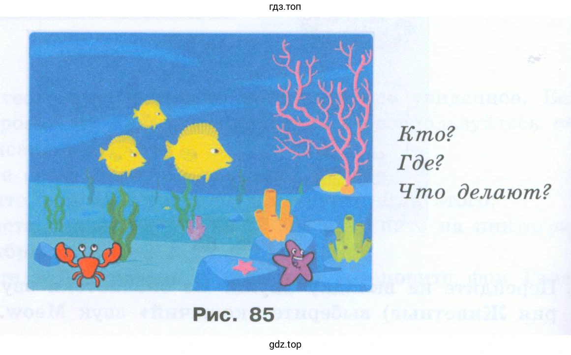 Морские обитатели