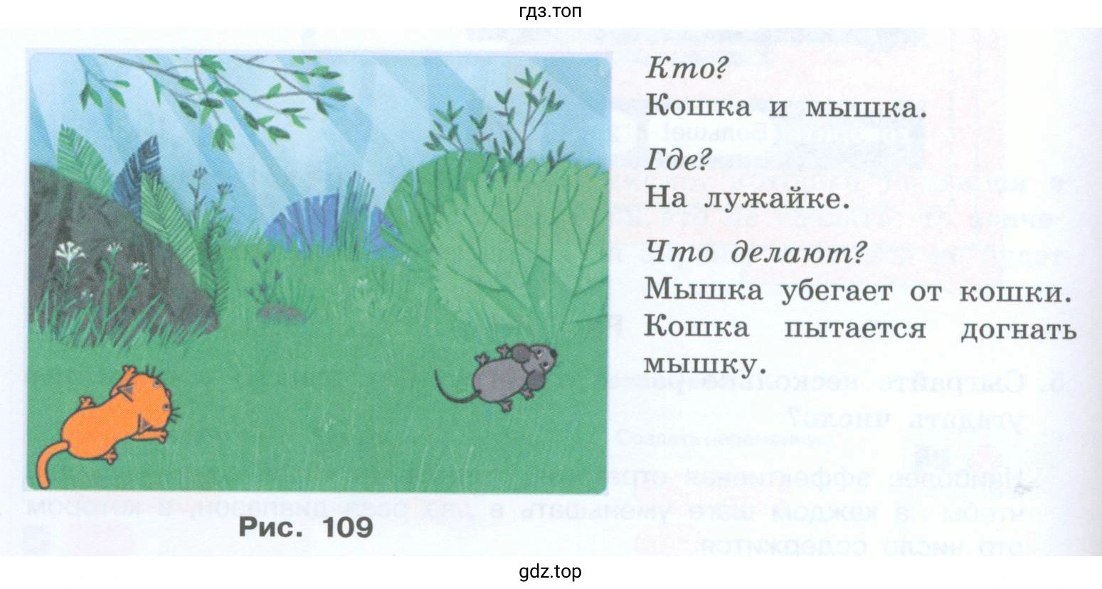 Догонит ли кошка мышку