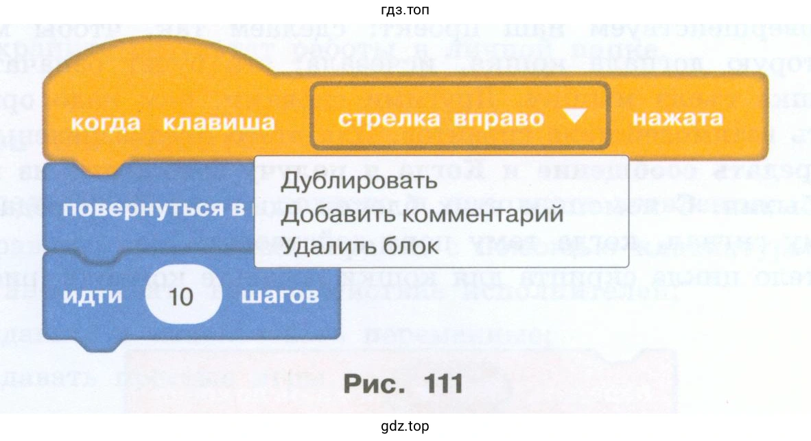Догонит ли кошка мышку