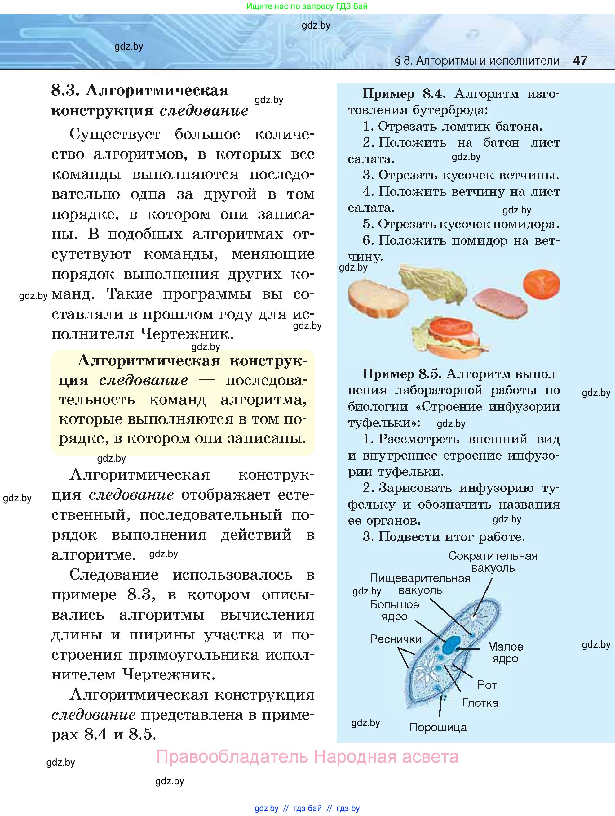 Информатика, 7 класс Учебник, авторы: Котов Владимир Михайлович, Лапо Анжелика Ивановна, Войтехович Елена Николаевна, издательство Народная асвета, Минск, 2017, страница 47