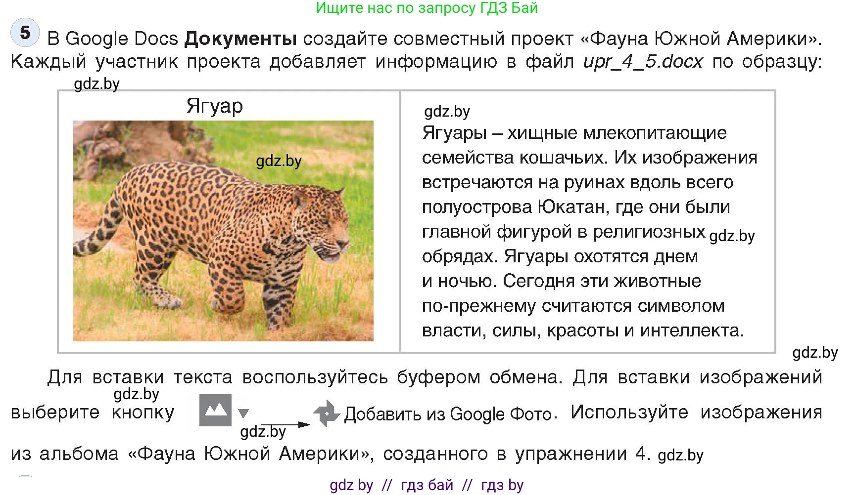 Информатика, 9 класс Учебник, авторы: Котов Владимир Михайлович, Лапо Анжелика Ивановна, Быкадоров Юрий Александрович, Войтехович Елена Николаевна, издательство Народная асвета, Минск, 2019, голубого цвета, страница 23, номер 5, Условие