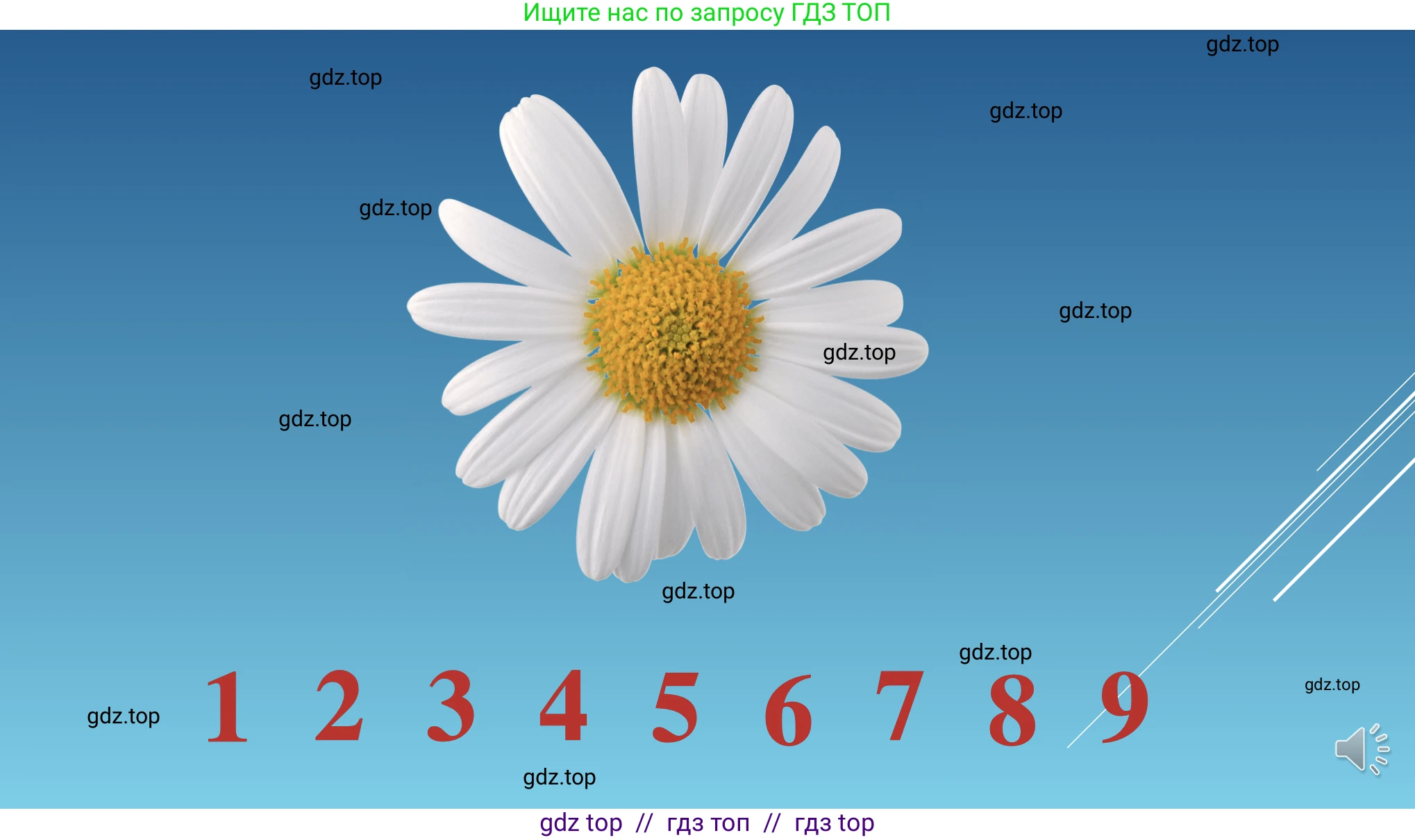 Информатика, 10 класс Учебник, авторы: Босова Людмила Леонидовна, Босова Анна Юрьевна, издательство Просвещение, Москва, 2021, страница 285, номер 6, Решение (продолжение 4)