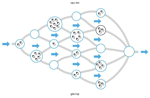 Какое максимальное количество желудей сможет собрать Бобёр Билли