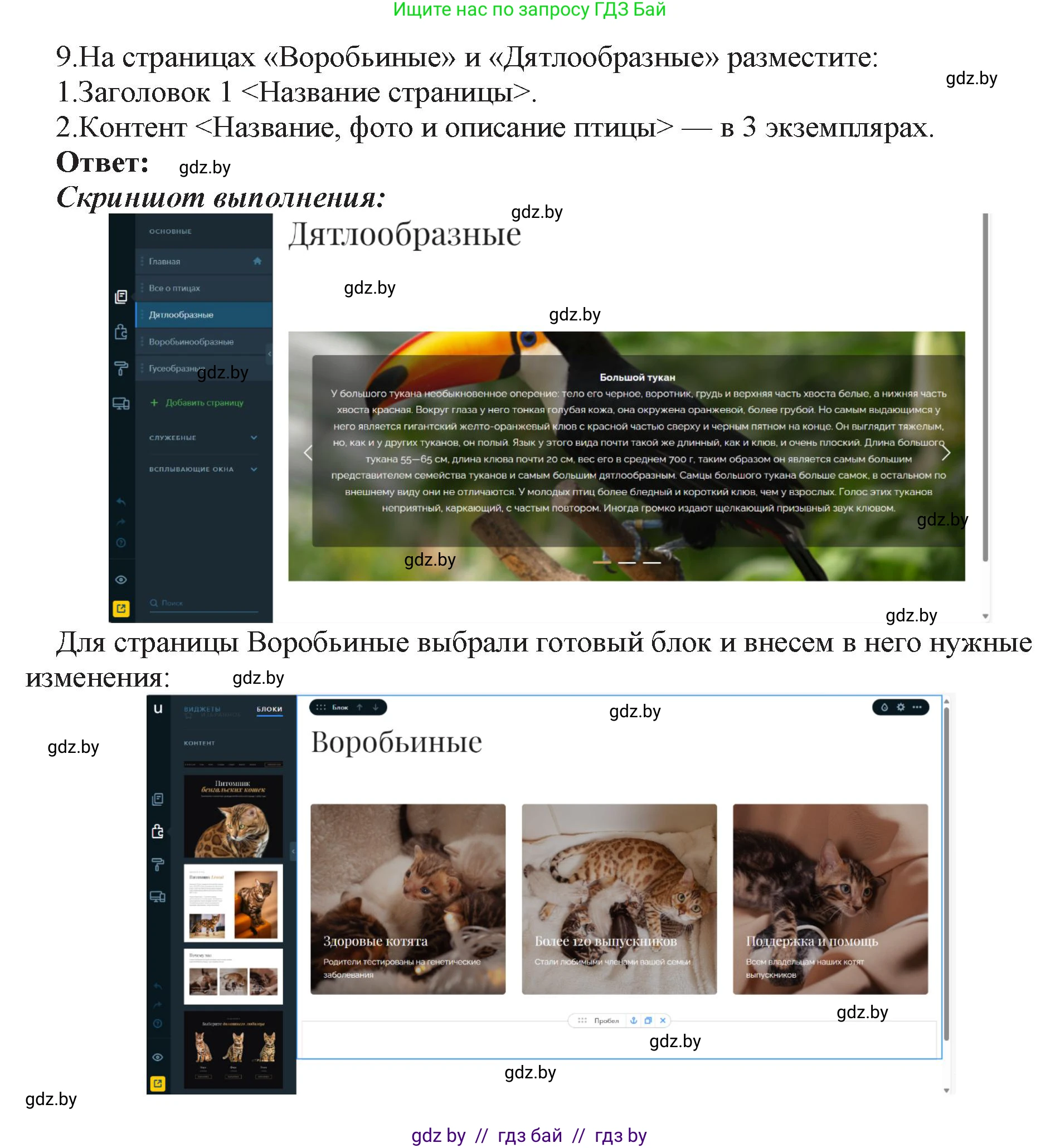 Информатика, 11 класс Учебник, авторы: Котов Владимир Михайлович, Лапо Анжелика Ивановна, Быкадоров Юрий Александрович, Войтехович Елена Николаевна, издательство Народная асвета, Минск, 2021, бирюзового цвета, страница 75, номер 9, Решение