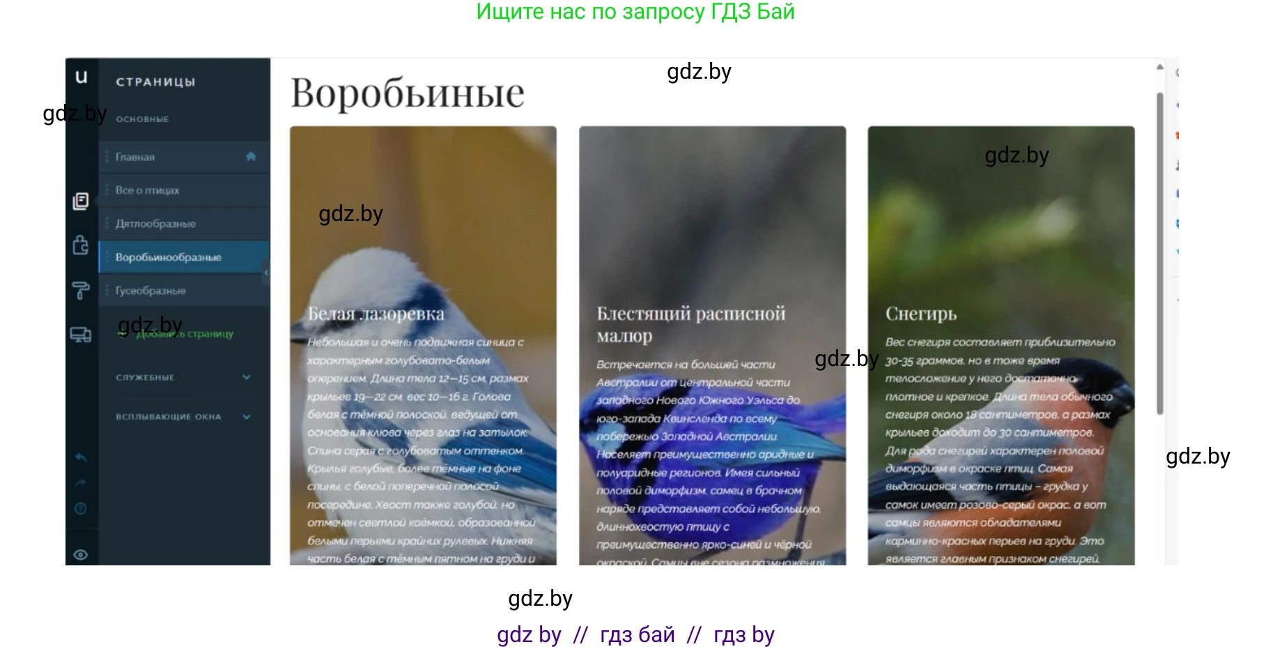 Информатика, 11 класс Учебник, авторы: Котов Владимир Михайлович, Лапо Анжелика Ивановна, Быкадоров Юрий Александрович, Войтехович Елена Николаевна, издательство Народная асвета, Минск, 2021, бирюзового цвета, страница 75, номер 9, Решение (продолжение 2)