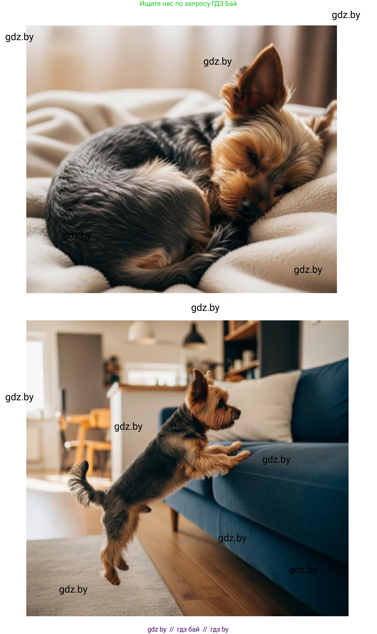 Искусство, 5 класс Учебник, авторы: Колбышева Светлана Ивановна, Захарина Юлия Юрьевна, Грачёва Ольга Олеговна, Гракова В В, Волк М А, издательство Адукацыя i выхаванне, Минск, 2022, страница 108, Решение (продолжение 2)