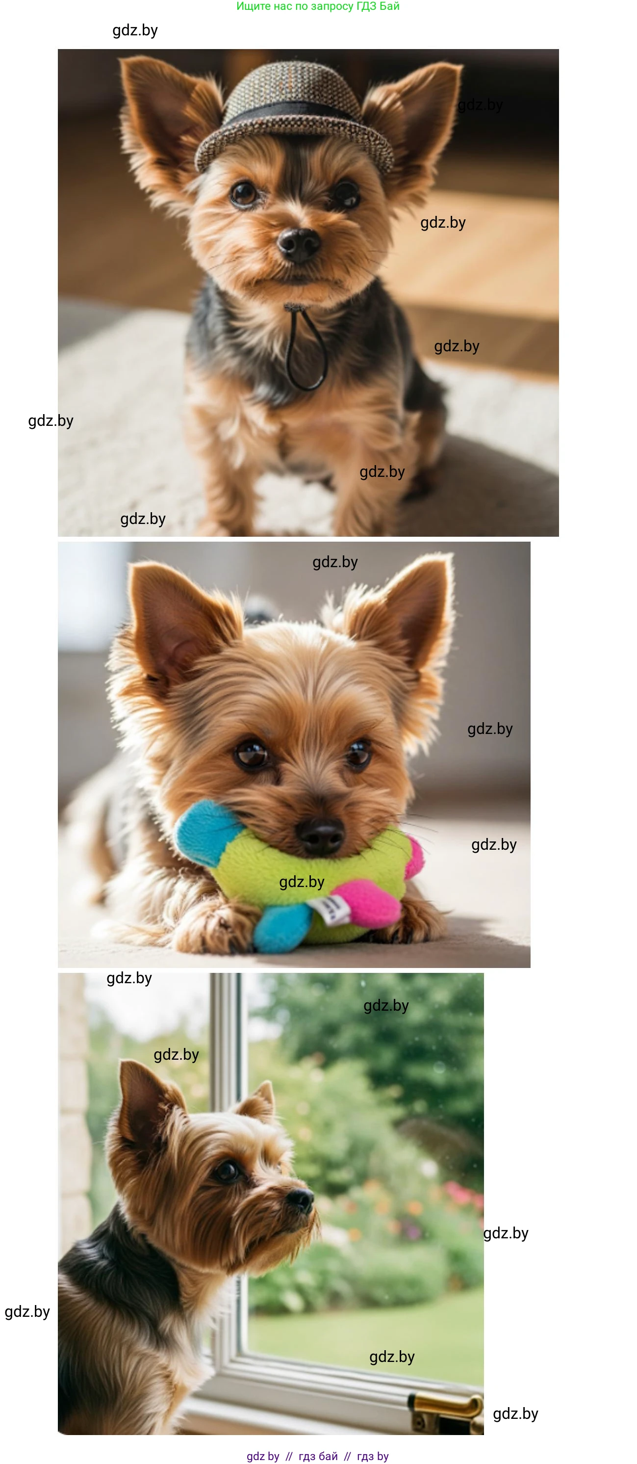 Искусство, 5 класс Учебник, авторы: Колбышева Светлана Ивановна, Захарина Юлия Юрьевна, Грачёва Ольга Олеговна, Гракова В В, Волк М А, издательство Адукацыя i выхаванне, Минск, 2022, страница 108, Решение (продолжение 3)