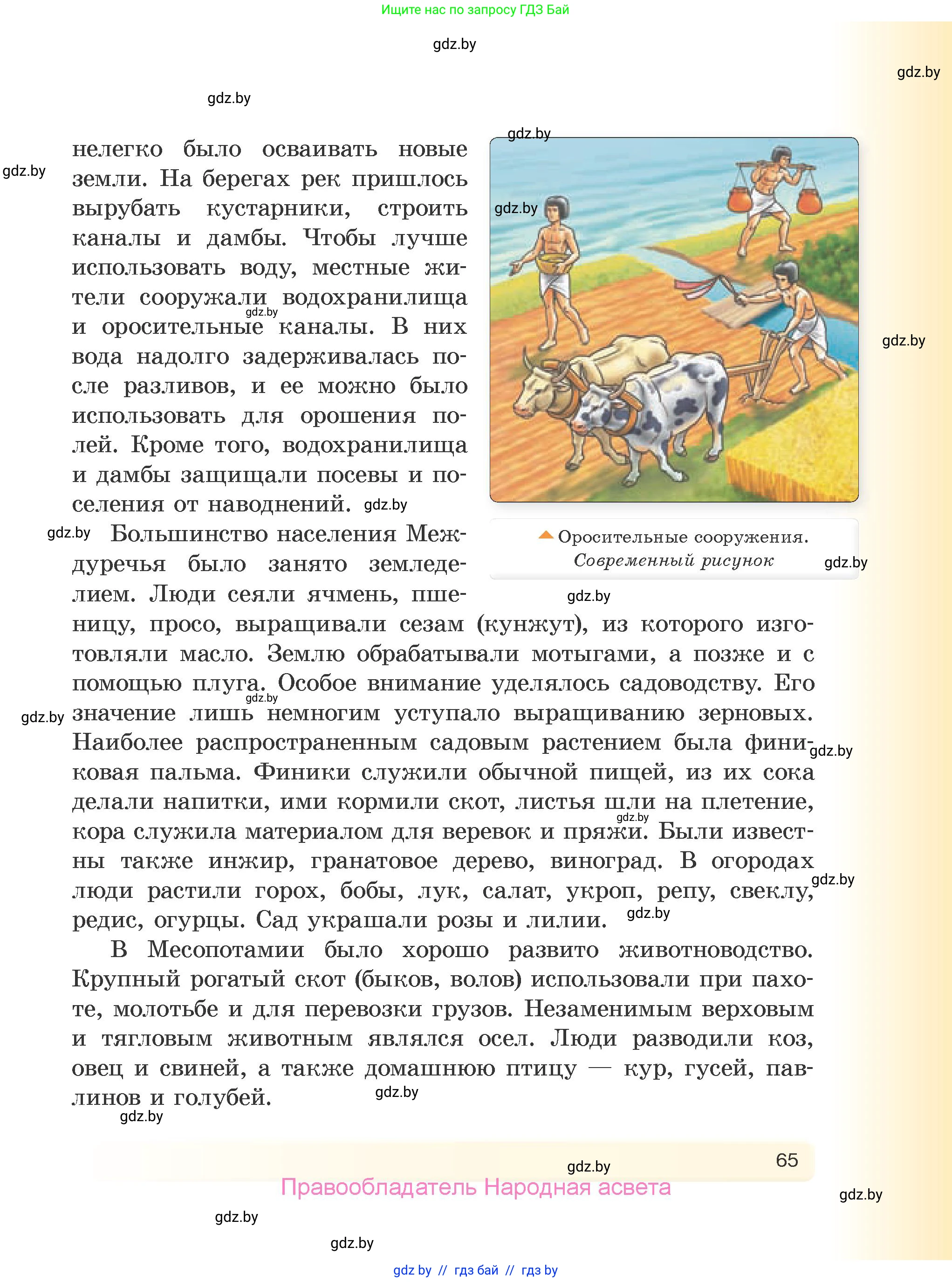 История Древнего мира, 5 класс Учебник, авторы: Кошелев Владимир Сергеевич, Прохоров Андрей Аркадьевич, Перзашкевич Олег Валерьевич, Журавлевич Ольга Георгиевна, издательство Народная асвета, Минск, 2019, коричневого цвета, страница 65