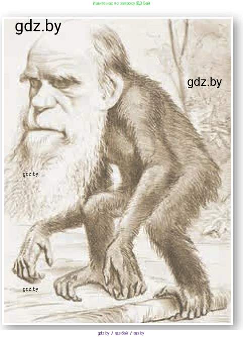 Всемирная история, 8 класс Учебник, авторы: Кошелев Владимир Сергеевич, Кошелева Наталья Владимировна, Байдакова Наталья Владимировна, издательство Издательский центр БГУ, Минск, 2018, красного цвета, страница 53, Условие (продолжение 2)