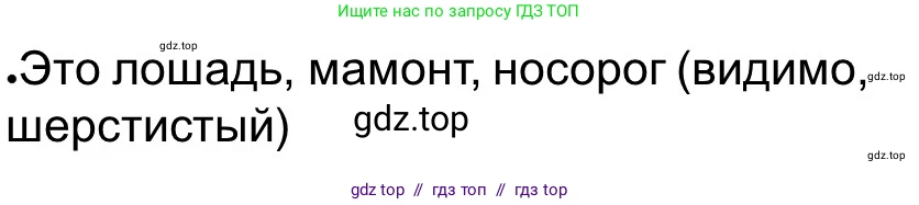 Всеобщая история, 5 класс рабочая тетрадь, автор: Годер Георгий Израилевич, издательство Просвещение, Москва, 2023, Часть 1, страница 15, номер 19, Решение