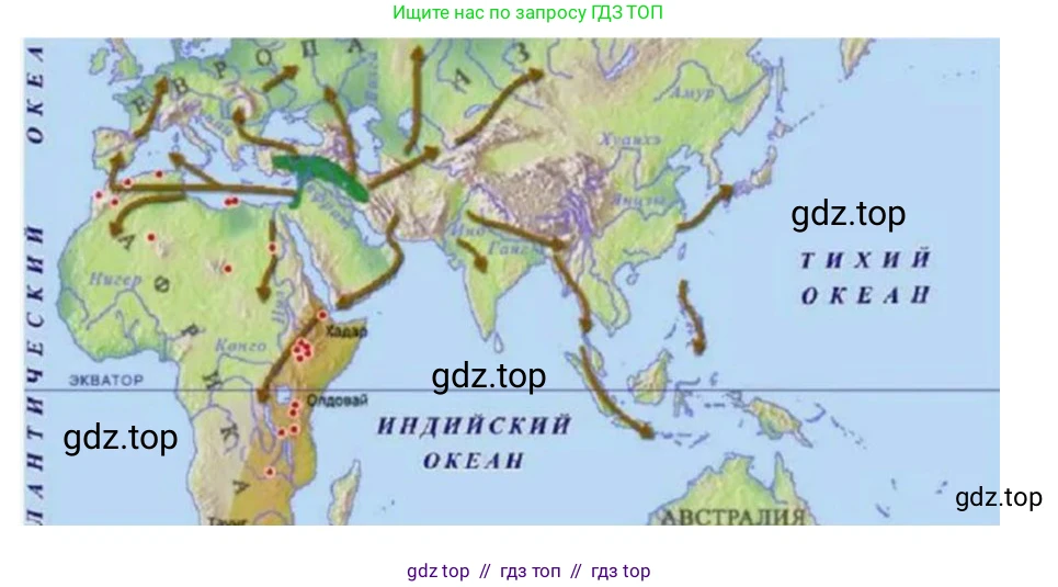 Всеобщая история, 5 класс рабочая тетрадь, автор: Годер Георгий Израилевич, издательство Просвещение, Москва, 2023, Часть 1, страница 16, номер 20, Решение