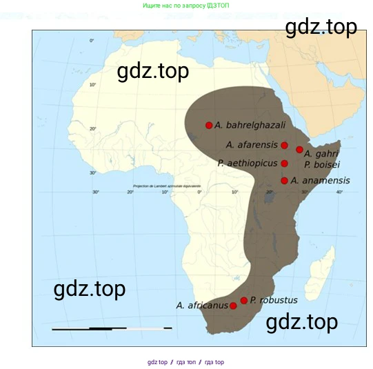 Всеобщая история, 5 класс рабочая тетрадь, автор: Годер Георгий Израилевич, издательство Просвещение, Москва, 2023, Часть 1, страница 6, номер 9, Решение (продолжение 2)