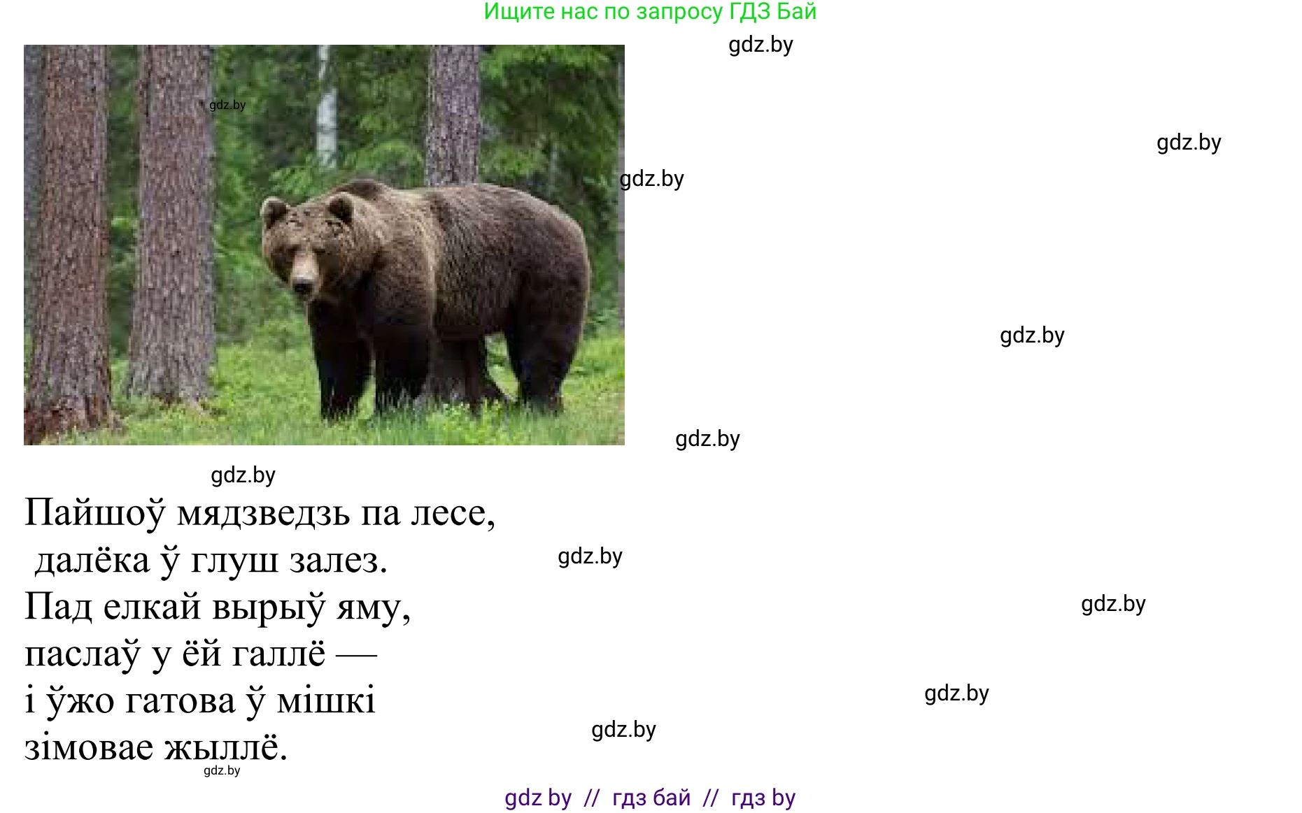 Літаратурнае чытанне, 2 класс Учебник, авторы: Антонава Надзея Уладзіславаўна, Буторына Ірына Аляксандраўна, Галяш Галіна Аксеньеўна, издательство Нацыянальны інстытут адукацыі, Минск, 2021, жёлтого цвета, Часть 1, страница 81, Решение (продолжение 4)