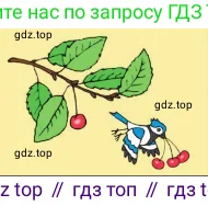 Птичка летит с 3 вишнями