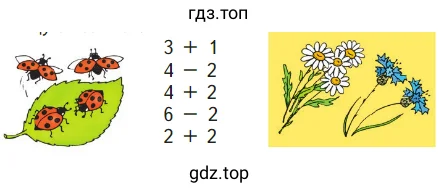 Божьи коровки