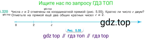 Математика, 5 класс Учебник, авторы: Виленкин Наум Яковлевич, Жохов Владимир Иванович, Чесноков Александр Семёнович, Александрова Лилия Александровна, Шварцбурд Семён Исаакович, издательство Просвещение, Москва, 2023, белого цвета, Часть 2, страница 56, номер 5.320, Условие