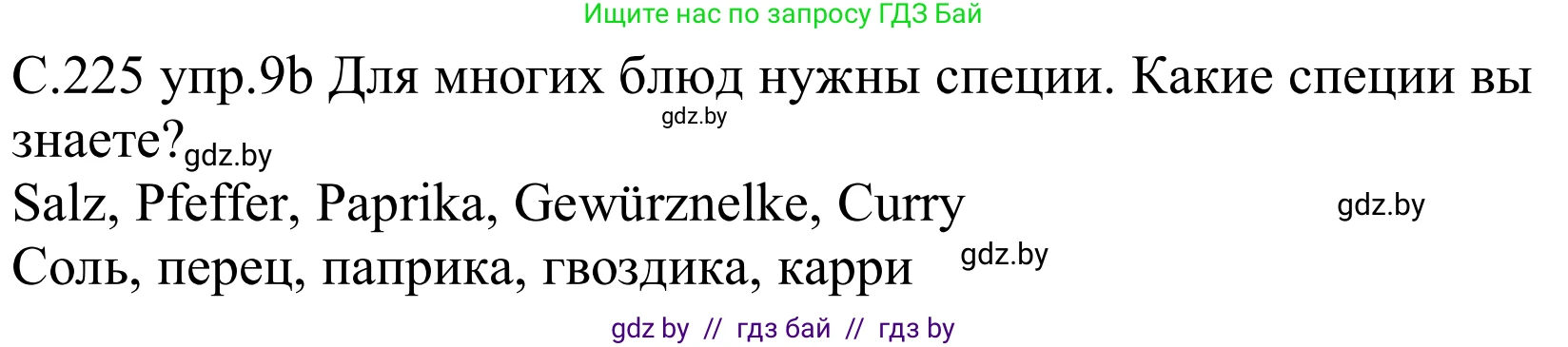 Немецкий язык (Deutsch), 8 класс Учебник (Schülerbuch), авторы: Будько Антонина Филипповна (Budjko Antonina), Урбанович Инна Ювинальевна (Urbanowitsch Ina), издательство Вышэйшая школа, Минск, 2018, страница 225, номер 9b, Решение