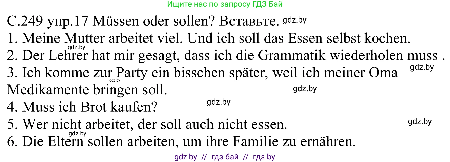 Немецкий язык (Deutsch), 8 класс Учебник (Schülerbuch), авторы: Будько Антонина Филипповна (Budjko Antonina), Урбанович Инна Ювинальевна (Urbanowitsch Ina), издательство Вышэйшая школа, Минск, 2018, страница 249, номер 17, Решение