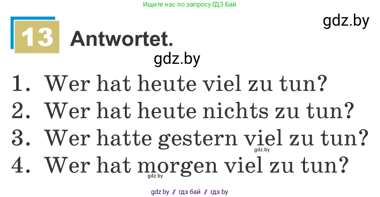 Немецкий язык (Deutsch), 9 класс Учебник (Schülerbuch), авторы: Будько Антонина Филипповна (Budjko Antonina), Урбанович Инна Ювинальевна (Urbanowitsch Ina), издательство Вышэйшая школа, Минск, 2018, серого цвета, страница 166, номер 13, Условие