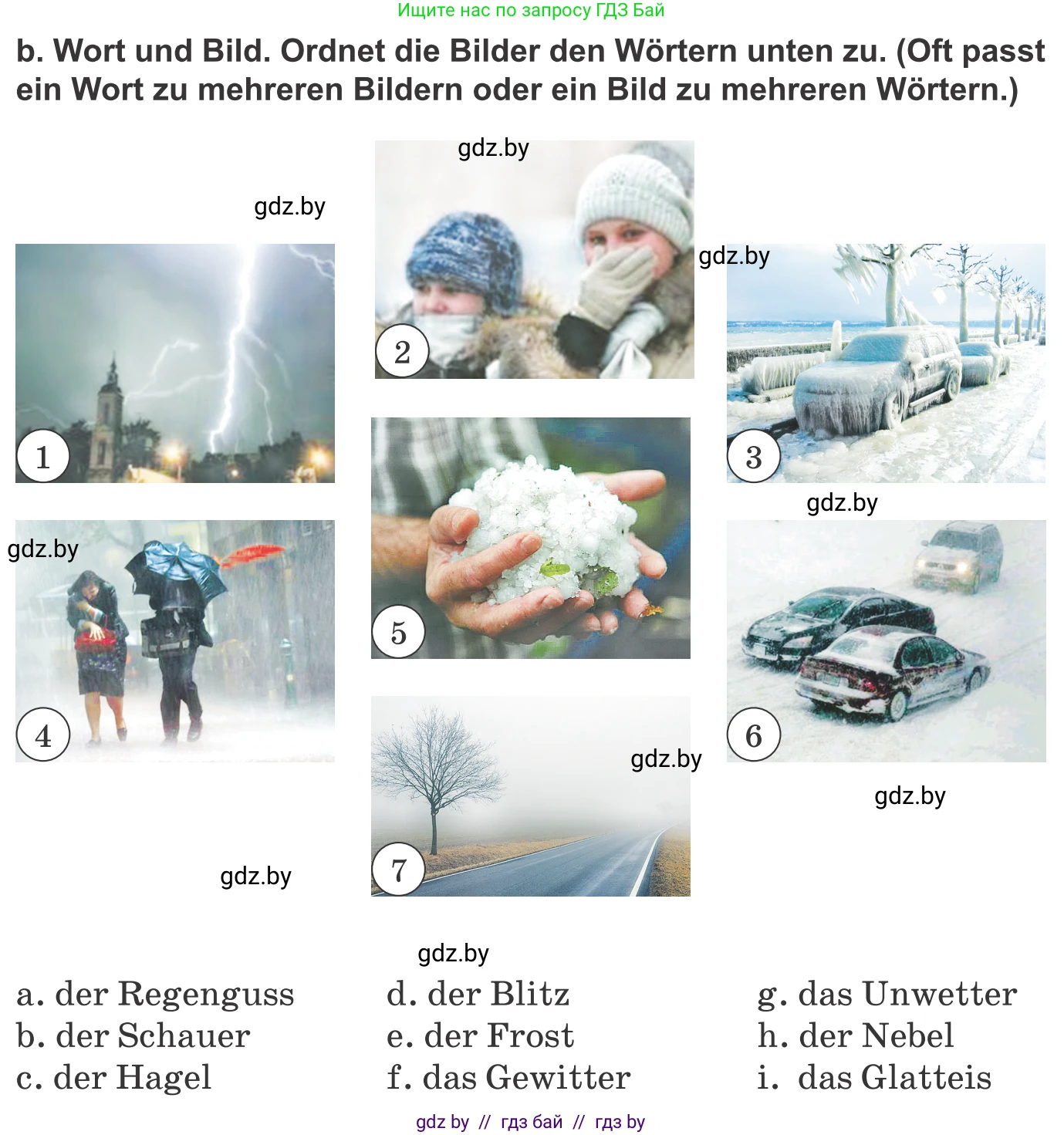 Немецкий язык (Deutsch), 9 класс Учебник (Schülerbuch), авторы: Будько Антонина Филипповна (Budjko Antonina), Урбанович Инна Ювинальевна (Urbanowitsch Ina), издательство Вышэйшая школа, Минск, 2018, серого цвета, страница 217, номер 2b, Условие