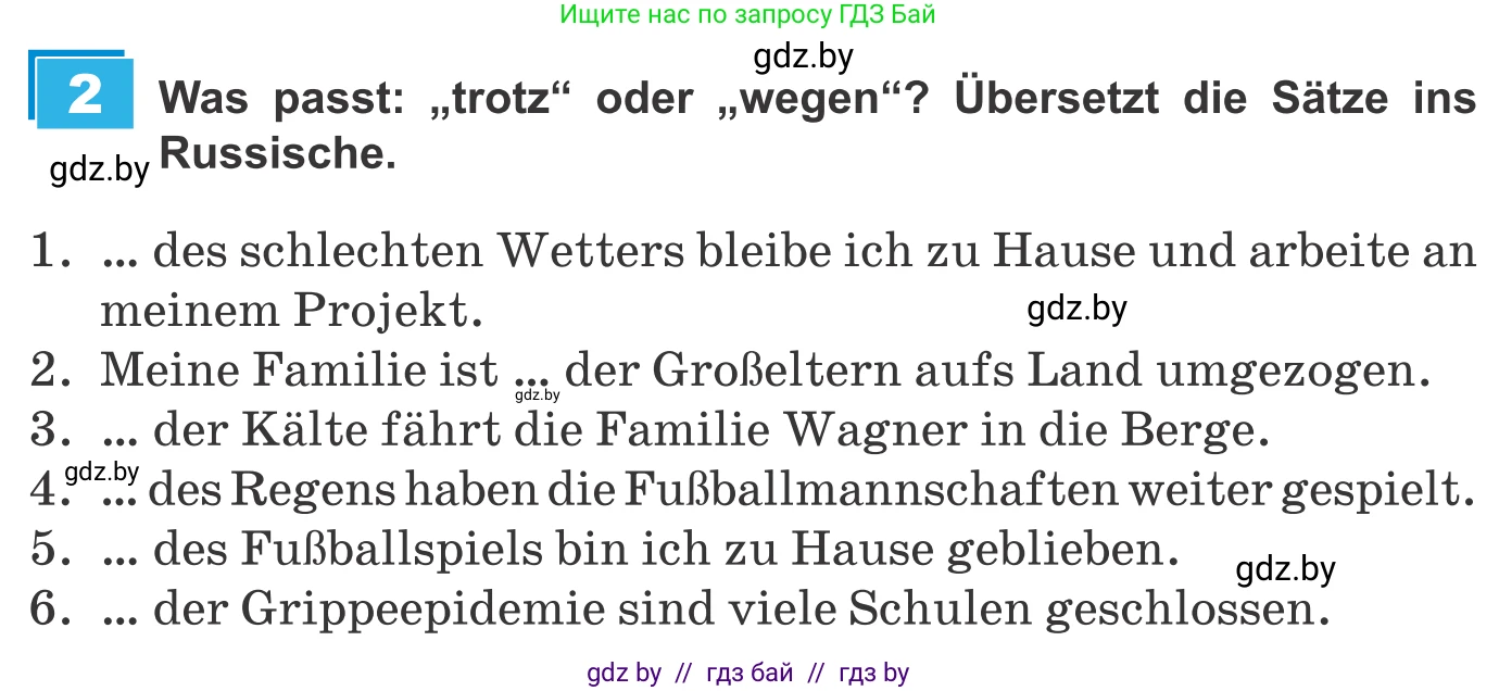 Немецкий язык (Deutsch), 9 класс Учебник (Schülerbuch), авторы: Будько Антонина Филипповна (Budjko Antonina), Урбанович Инна Ювинальевна (Urbanowitsch Ina), издательство Вышэйшая школа, Минск, 2018, серого цвета, страница 244, номер 2, Условие