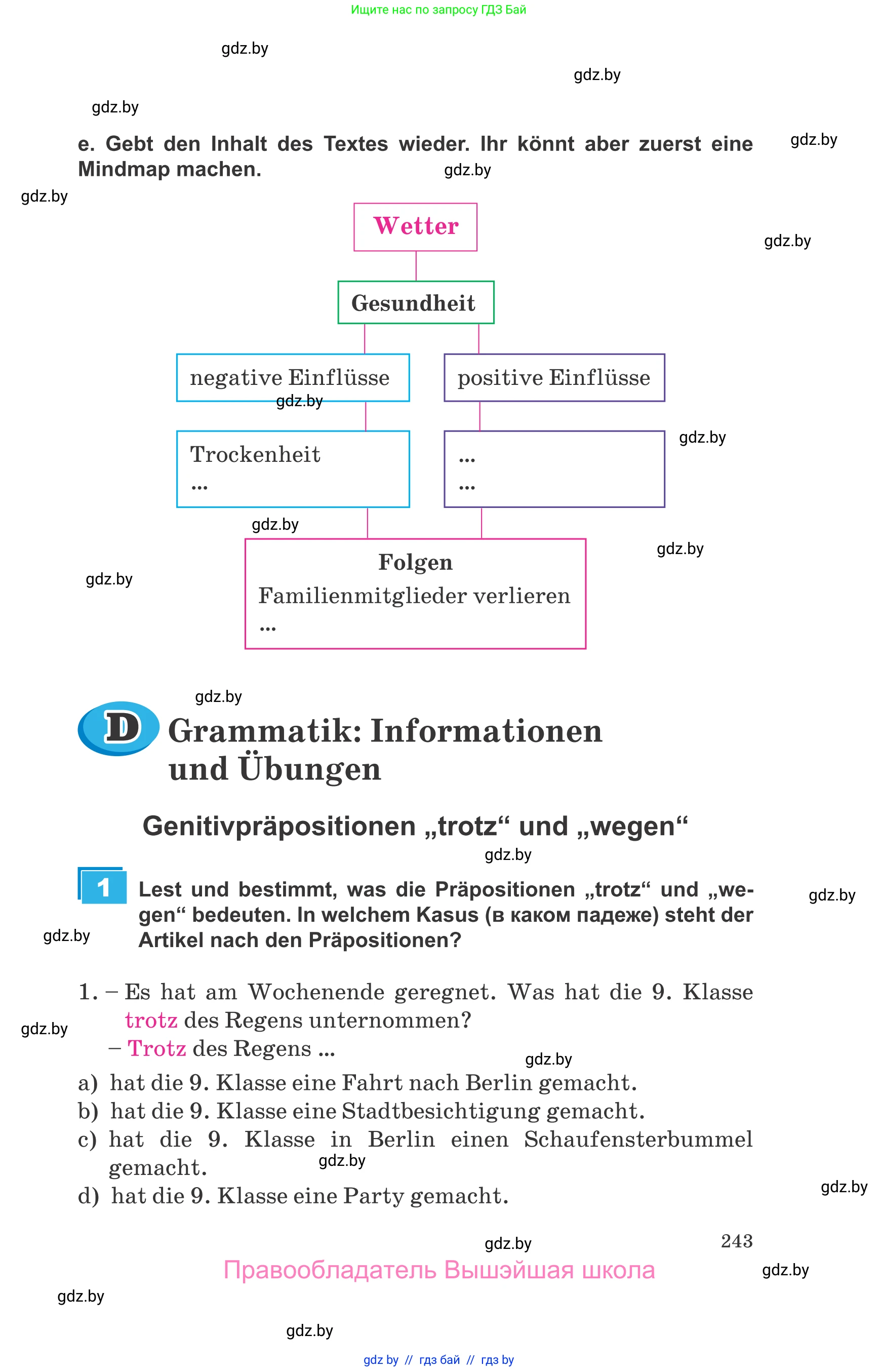 Немецкий язык (Deutsch), 9 класс Учебник (Schülerbuch), авторы: Будько Антонина Филипповна (Budjko Antonina), Урбанович Инна Ювинальевна (Urbanowitsch Ina), издательство Вышэйшая школа, Минск, 2018, серого цвета, страница 243
