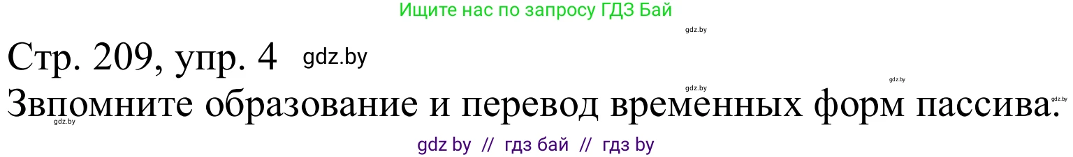 Немецкий язык (Deutsch), 9 класс Учебник (Schülerbuch), авторы: Будько Антонина Филипповна (Budjko Antonina), Урбанович Инна Ювинальевна (Urbanowitsch Ina), издательство Вышэйшая школа, Минск, 2018, серого цвета, страница 209, номер 4, Решение