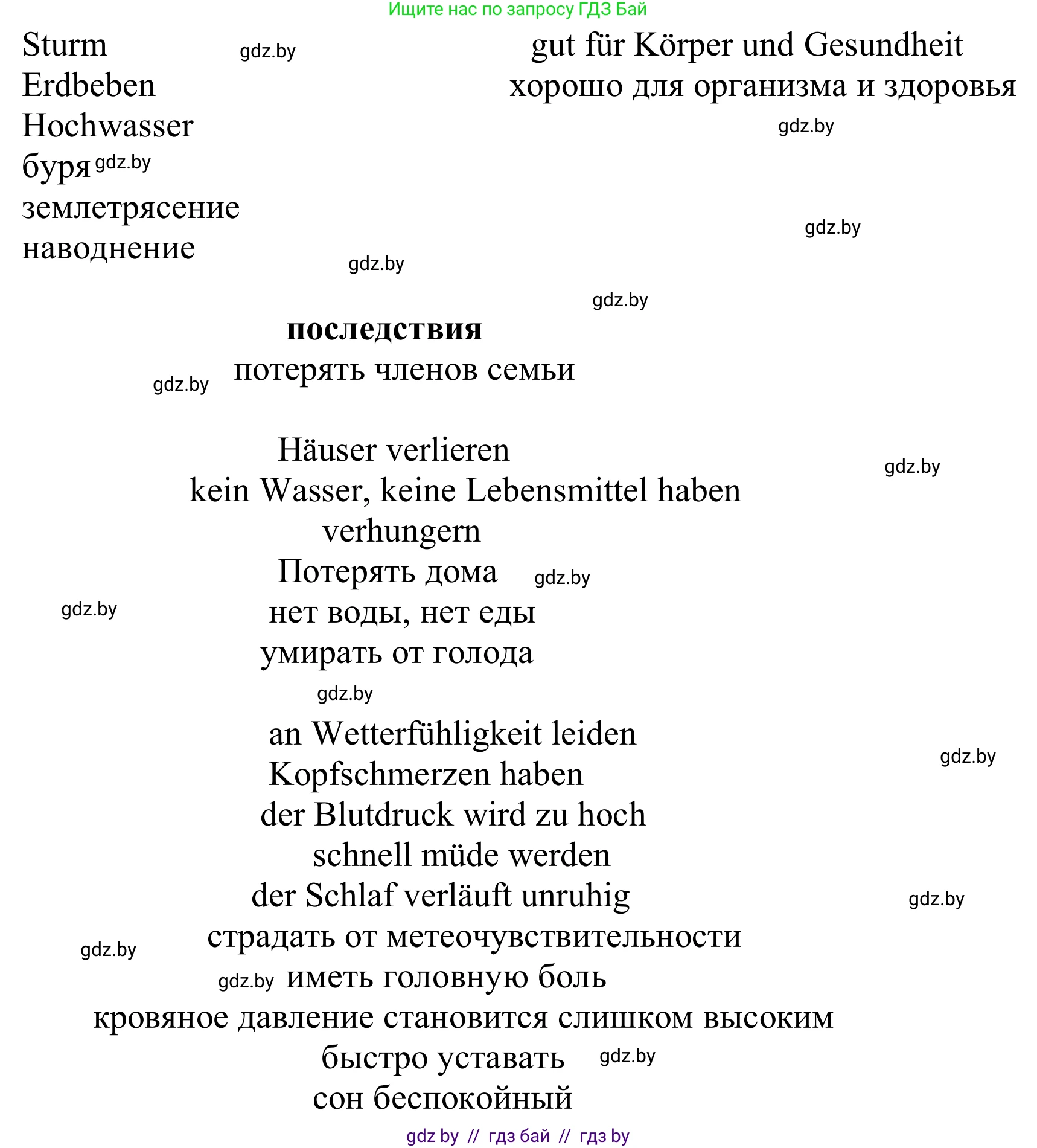 Немецкий язык (Deutsch), 9 класс Учебник (Schülerbuch), авторы: Будько Антонина Филипповна (Budjko Antonina), Урбанович Инна Ювинальевна (Urbanowitsch Ina), издательство Вышэйшая школа, Минск, 2018, серого цвета, страница 243, номер 2e, Решение (продолжение 2)