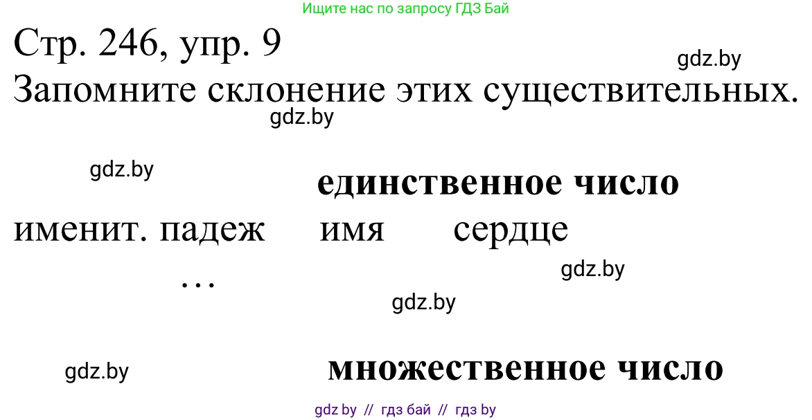 Немецкий язык (Deutsch), 9 класс Учебник (Schülerbuch), авторы: Будько Антонина Филипповна (Budjko Antonina), Урбанович Инна Ювинальевна (Urbanowitsch Ina), издательство Вышэйшая школа, Минск, 2018, серого цвета, страница 246, номер 9, Решение
