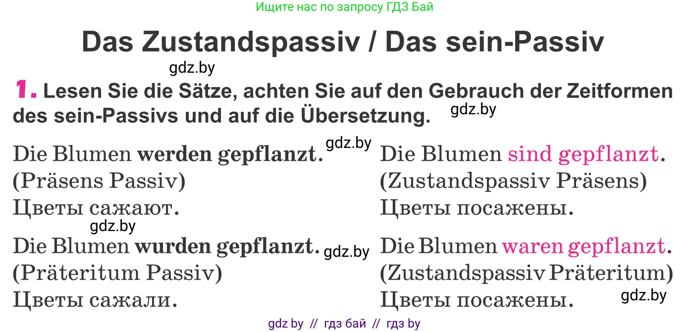 Немецкий язык (Deutsch), 10 класс Учебник (Schülerbuch), авторы: Будько Антонина Филипповна (Budjko Antonina), Урбанович Инна Ювинальевна (Urbanowitsch Ina), издательство Вышэйшая школа, Минск, 2018, оранжевого цвета, страница 288, номер 1, Условие