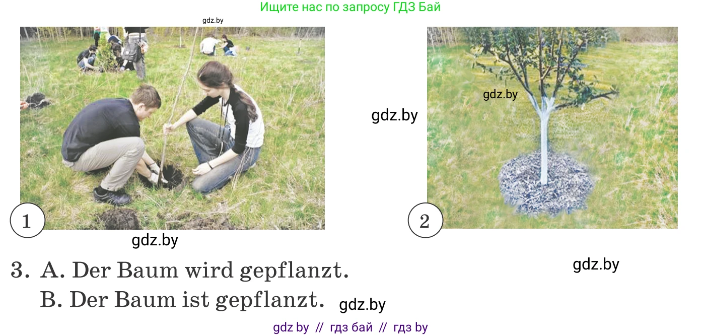 Немецкий язык (Deutsch), 10 класс Учебник (Schülerbuch), авторы: Будько Антонина Филипповна (Budjko Antonina), Урбанович Инна Ювинальевна (Urbanowitsch Ina), издательство Вышэйшая школа, Минск, 2018, оранжевого цвета, страница 288, номер 3, Условие (продолжение 2)