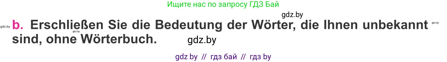 Немецкий язык (Deutsch), 11 класс Учебник (Schülerbuch), авторы: Будько Антонина Филипповна (Budjko Antonina), Урбанович Инна Ювинальевна (Urbanowitsch Ina), издательство Вышэйшая школа, Минск, 2019, бирюзового цвета, страница 7, номер 2b, Условие