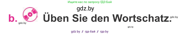 Немецкий язык (Deutsch), 11 класс Учебник (Schülerbuch), авторы: Будько Антонина Филипповна (Budjko Antonina), Урбанович Инна Ювинальевна (Urbanowitsch Ina), издательство Вышэйшая школа, Минск, 2019, бирюзового цвета, страница 257, номер 2b, Условие