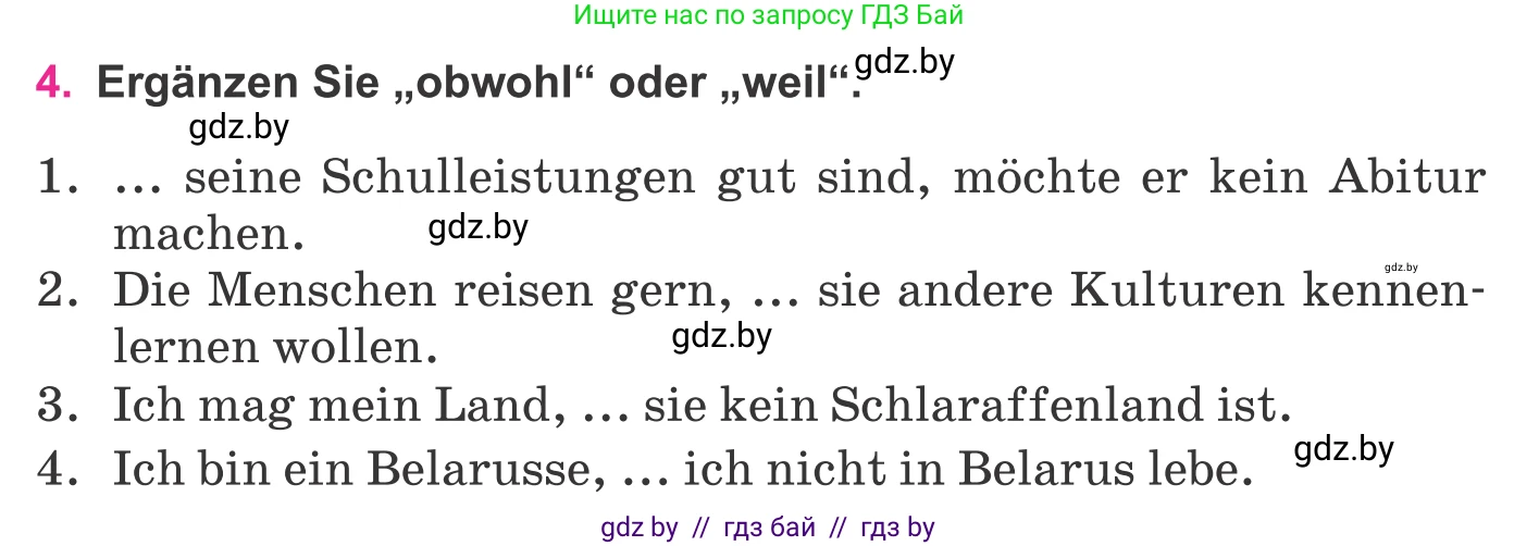 Немецкий язык (Deutsch), 11 класс Учебник (Schülerbuch), авторы: Будько Антонина Филипповна (Budjko Antonina), Урбанович Инна Ювинальевна (Urbanowitsch Ina), издательство Вышэйшая школа, Минск, 2019, бирюзового цвета, страница 325, номер 4, Условие