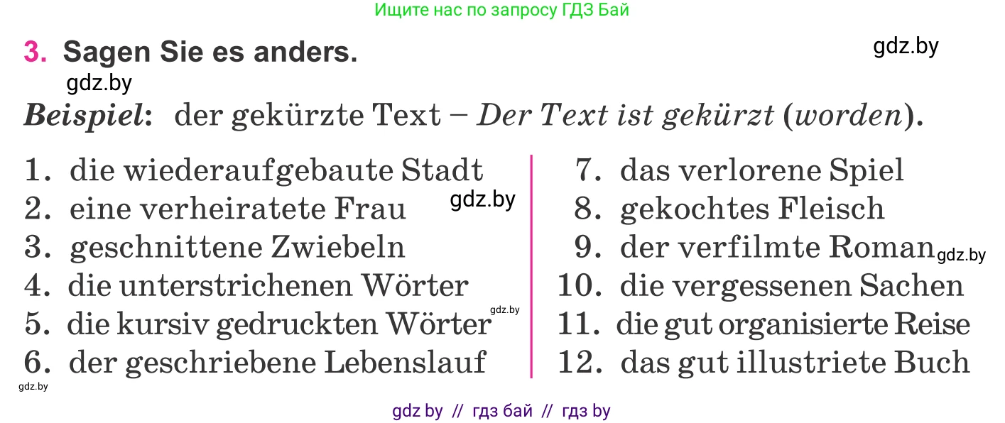 Немецкий язык (Deutsch), 11 класс Учебник (Schülerbuch), авторы: Будько Антонина Филипповна (Budjko Antonina), Урбанович Инна Ювинальевна (Urbanowitsch Ina), издательство Вышэйшая школа, Минск, 2019, бирюзового цвета, страница 329, номер 3, Условие