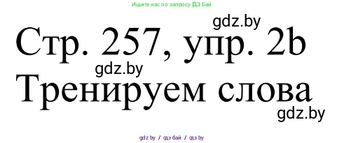 Немецкий язык (Deutsch), 11 класс Учебник (Schülerbuch), авторы: Будько Антонина Филипповна (Budjko Antonina), Урбанович Инна Ювинальевна (Urbanowitsch Ina), издательство Вышэйшая школа, Минск, 2019, бирюзового цвета, страница 257, номер 2b, Решение