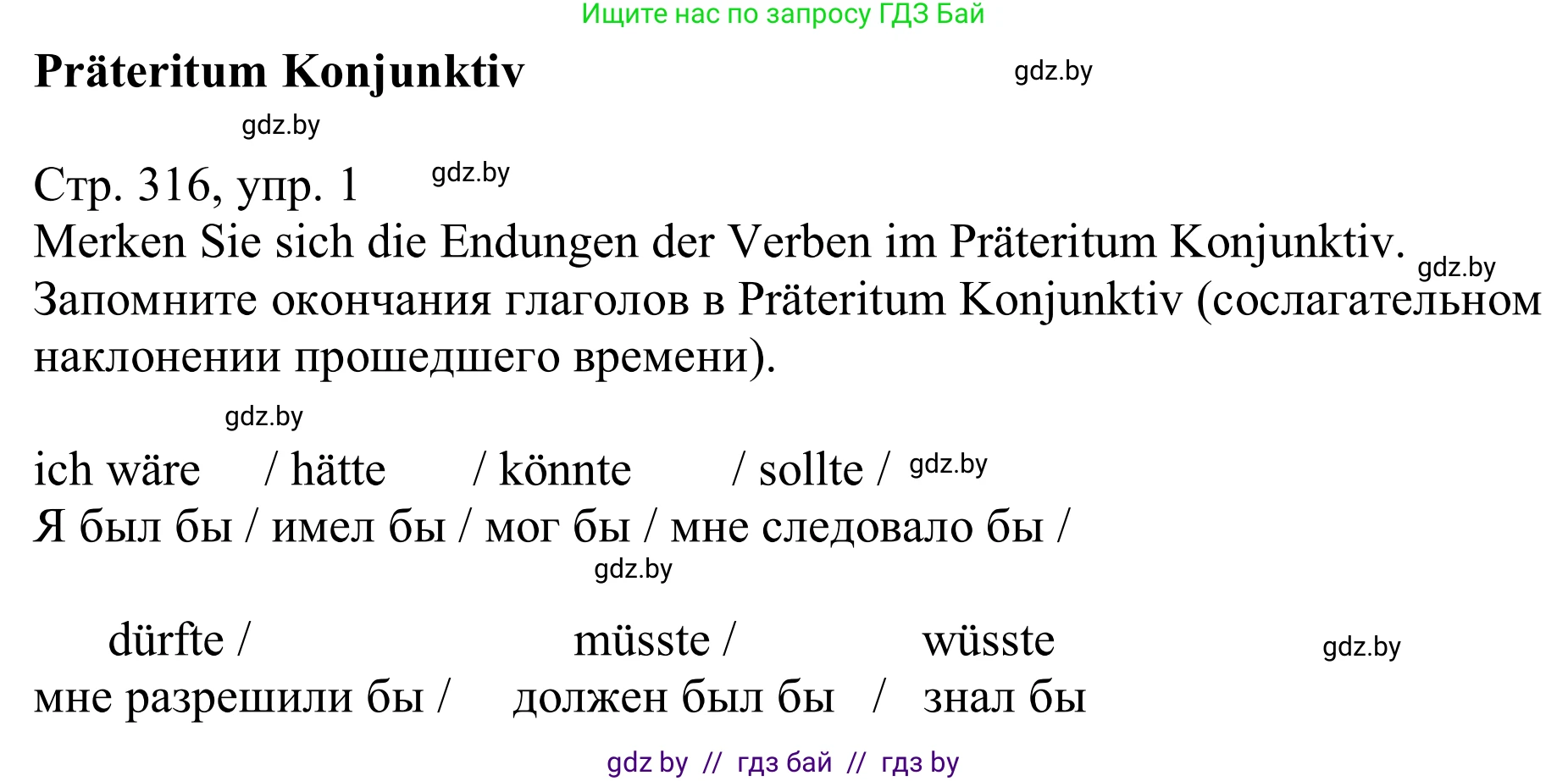 Немецкий язык (Deutsch), 11 класс Учебник (Schülerbuch), авторы: Будько Антонина Филипповна (Budjko Antonina), Урбанович Инна Ювинальевна (Urbanowitsch Ina), издательство Вышэйшая школа, Минск, 2019, бирюзового цвета, страница 316, номер 1, Решение