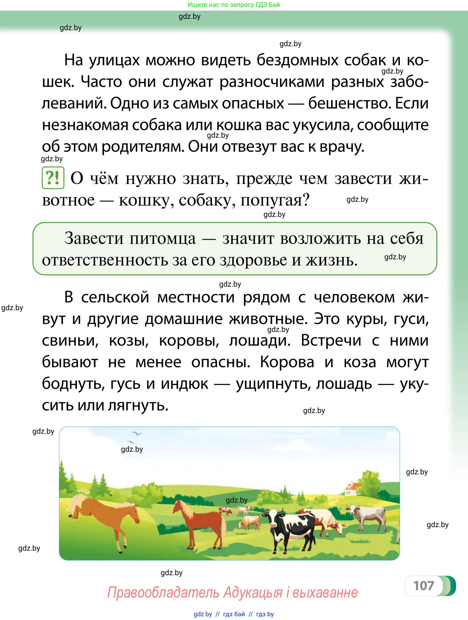 Обж, 2 класс Учебник, авторы: Аброськина Татьяна Юрьевна, Кузнецова Лилия Фёдоровна, Одновол Людмила Алексеевна, издательство Адукацыя i выхаванне, Минск, 2024, салатового цвета, страница 107
