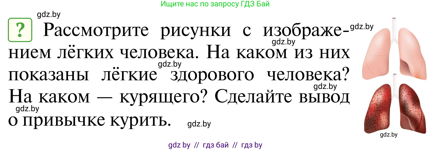 Обж, 2 класс Учебник, авторы: Аброськина Татьяна Юрьевна, Кузнецова Лилия Фёдоровна, Одновол Людмила Алексеевна, издательство Адукацыя i выхаванне, Минск, 2024, салатового цвета, страница 133, Условие