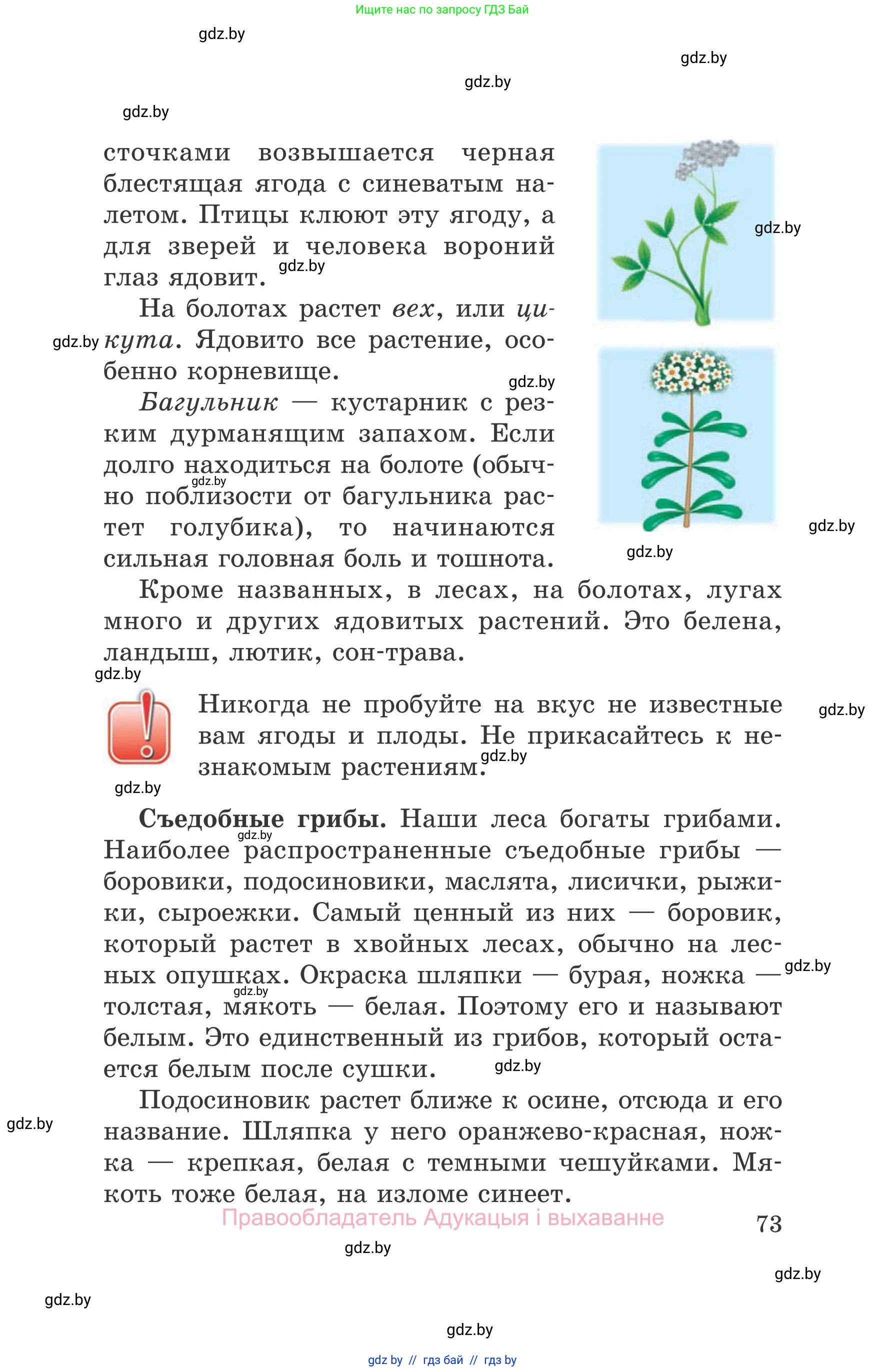 Обж, 5-6 класс Учебник, автор: Фатин Сергей Брониславович, издательство Адукацыя i выхаванне, Минск, красного цвета, страница 73