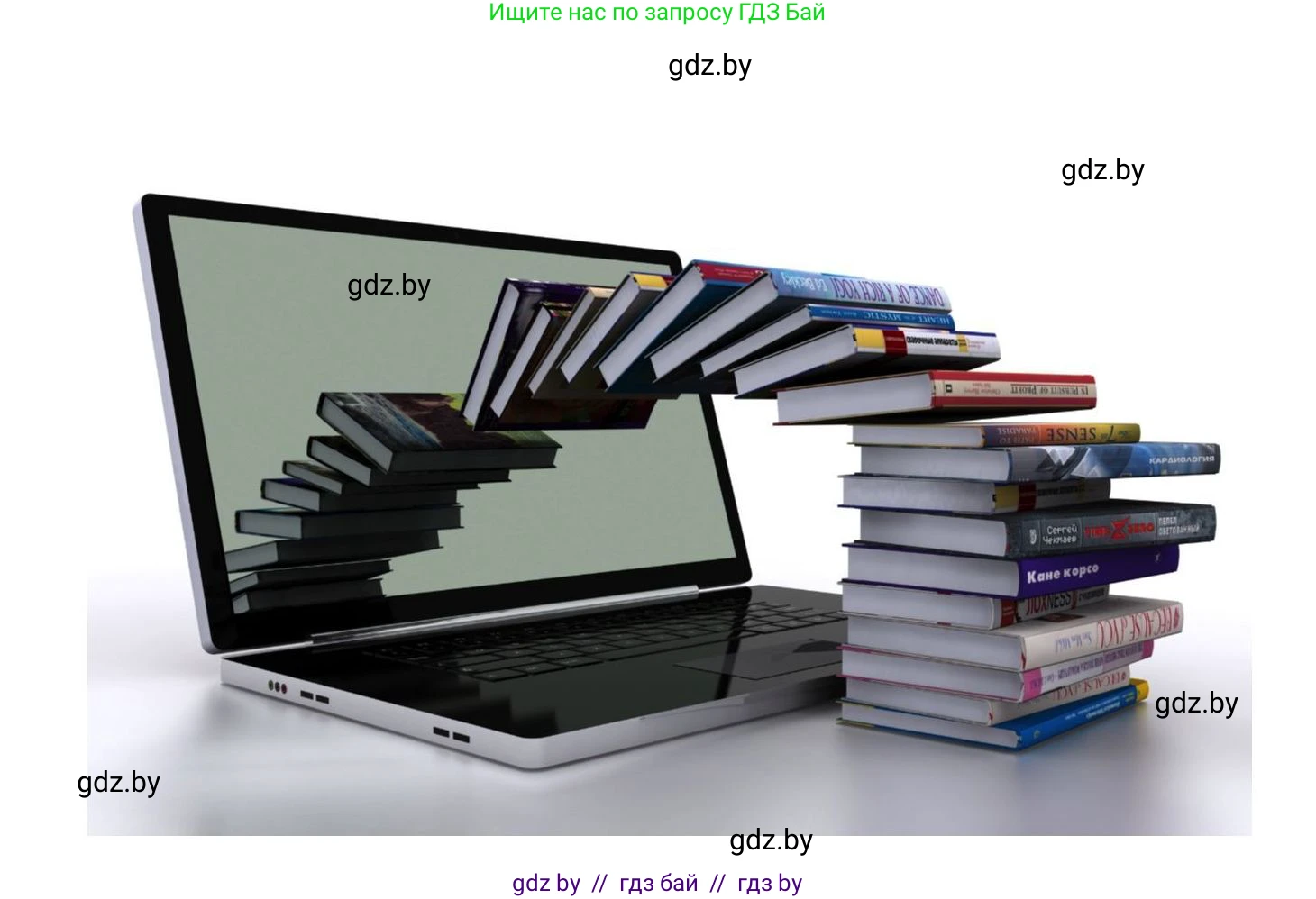 Обществоведение, 11 класс Учебник, авторы: Чуприс Ольга Ивановна, Балашенко Сергей Александрович, Денисюк Нина Павловна, Калинин С А, Киселёва Т М, Короткевич М П, Михалёва Т Н, Петоченко Т М, Побережная О Е, Подкопаев В В, Салей Е А, Шидловский А В, издательство Адукацыя i выхаванне, Минск, 2021, салатового цвета, страница 29, Решение (продолжение 3)